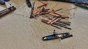 Salvage China firs After The Flood Peak in Rong'an