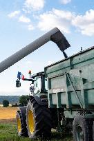Rapeseed harvest near Chamoy in Aude - France