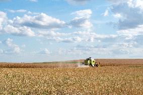 Rapeseed harvest near Chamoy in Aude - France