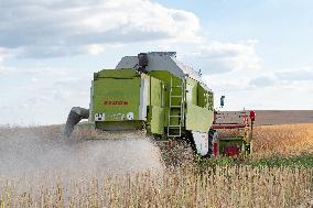 Rapeseed harvest near Chamoy in Aude - France