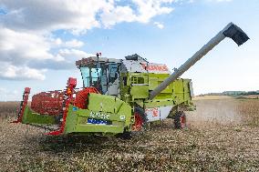 Rapeseed harvest near Chamoy in Aude - France