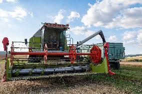 Rapeseed harvest near Chamoy in Aude - France