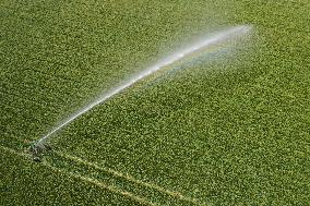 High-Tech Seeds And Tech-Driven Farming - China