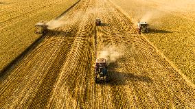 High-Tech Seeds And Tech-Driven Farming - China