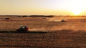 High-Tech Seeds And Tech-Driven Farming - China