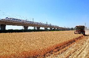 High-Tech Seeds And Tech-Driven Farming - China
