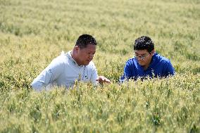 High-Tech Seeds And Tech-Driven Farming - China