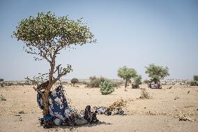 Sudanese Refugee Relocation - Chad