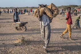 Sudanese Refugee Relocation - Chad