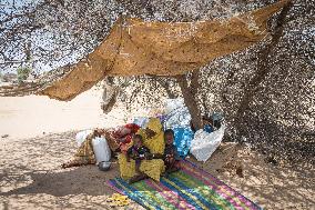 Sudanese Refugee Relocation - Chad