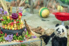 Twin Giant Pandas 9th Birthday Celebration in Nanning Zoo