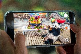 Twin Giant Pandas 9th Birthday Celebration in Nanning Zoo
