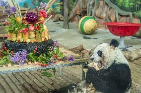 Twin Giant Pandas 9th Birthday Celebration in Nanning Zoo