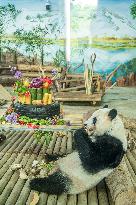 Twin Giant Pandas 9th Birthday Celebration in Nanning Zoo