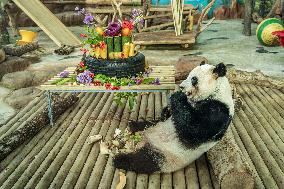 Twin Giant Pandas 9th Birthday Celebration in Nanning Zoo