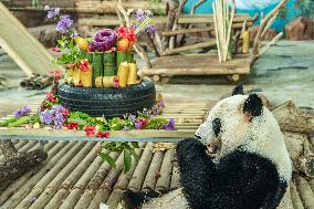Twin Giant Pandas 9th Birthday Celebration in Nanning Zoo