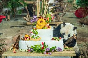 Twin Giant Pandas 9th Birthday Celebration in Nanning Zoo