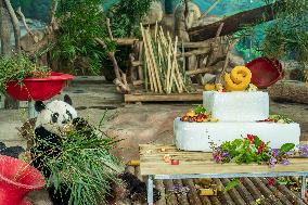 Twin Giant Pandas 9th Birthday Celebration in Nanning Zoo