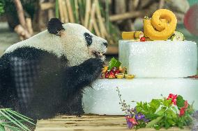 Twin Giant Pandas 9th Birthday Celebration in Nanning Zoo