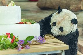 Twin Giant Pandas 9th Birthday Celebration in Nanning Zoo