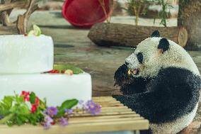 Twin Giant Pandas 9th Birthday Celebration in Nanning Zoo