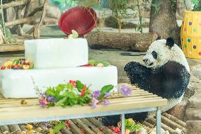 Twin Giant Pandas 9th Birthday Celebration in Nanning Zoo