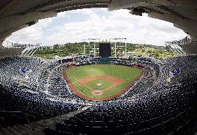 Baseball: Kauffman Stadium