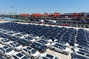 Chinese Made New Energy Vehicles Export