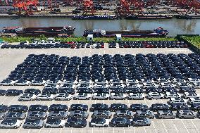Chinese Made New Energy Vehicles Export