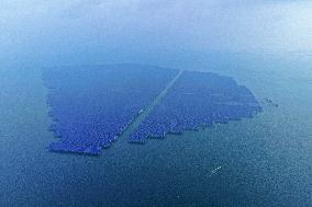 China New Energy System