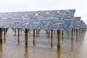 China New Energy System