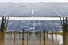 China New Energy System