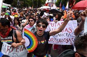 47th Annual Pride Parade Celebration in Mexico