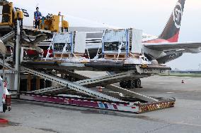 Giant pandas arrive at the Chengdu Shuangliu International Airport