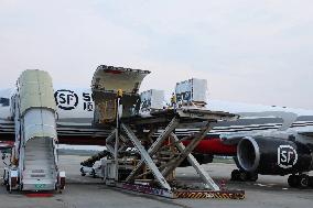 Giant pandas arrive at the Chengdu Shuangliu International Airport