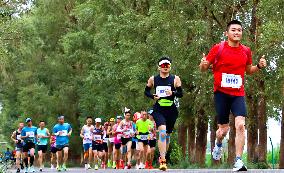 China Marathon Industry