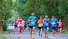 China Marathon Industry