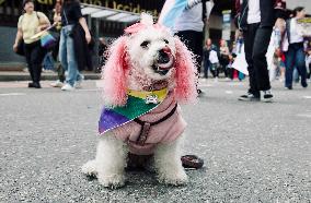 International Pride Parade in Bogota, Colombia