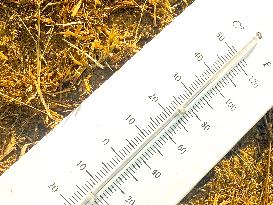 Illustration Of The Heatwave - France