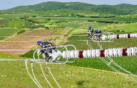 New Energy Transmission And Transformation Project