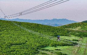New Energy Transmission And Transformation Project