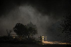 Wildfire in Northern Israel