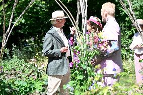 SOLLIDEN ALLOTMENT EXHIBITION