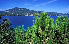 Illustration - Corse du Sud - France