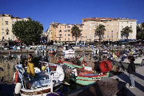 Illustration - Corse du Sud - France