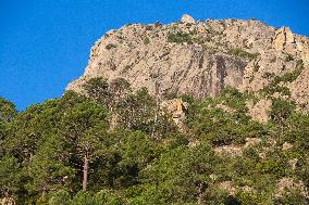 Illustration - Corse du Sud - France