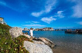 Illustration - Corse du Sud - France