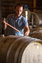 Illustration - Corse du Sud - France