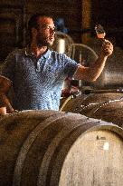 Illustration - Corse du Sud - France