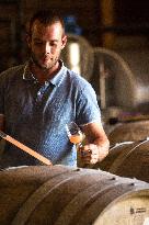 Illustration - Corse du Sud - France